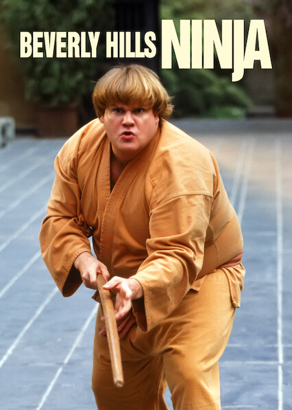 Beverly Hills Ninja